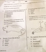 Biology (Objective) - WASSCE 2024.pdf